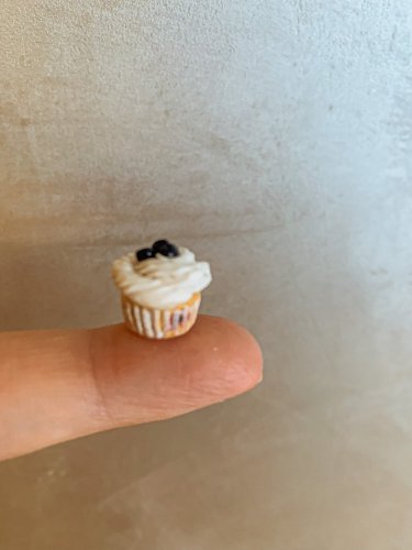 Muffin borůvkový